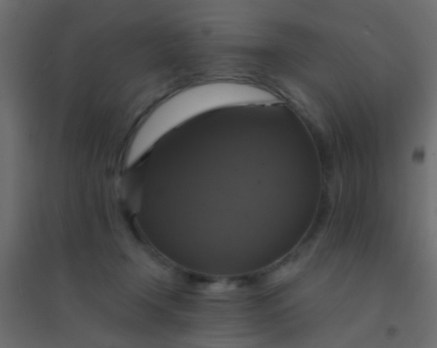 X0000094900366200712131436