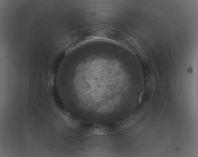 X0000094900368200712131436