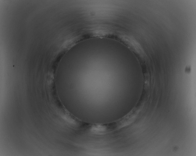 X0000094900369200712131436