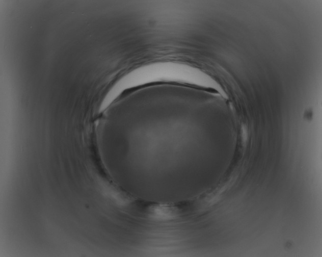 X0000094900372200712131436