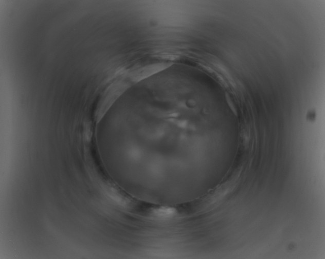 X0000094900374200712131436