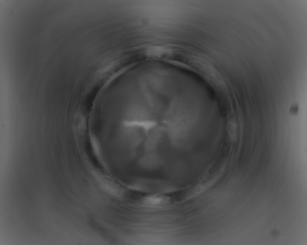 X0000094900375200712131436