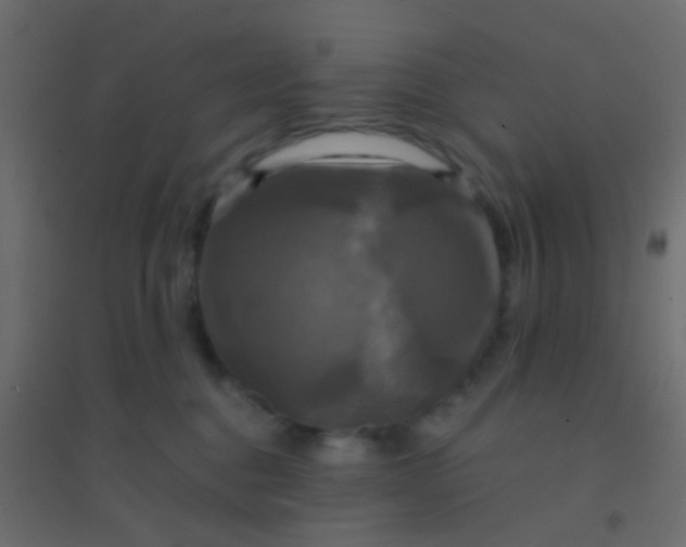 X0000094900376200712131436