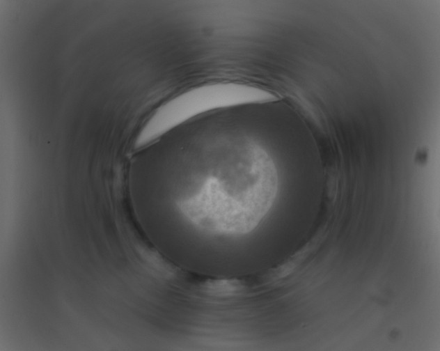 X0000094900378200712131436