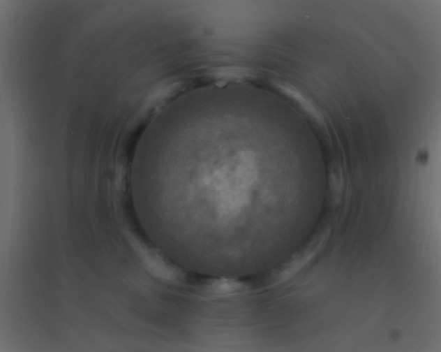 X0000094900379200712131436
