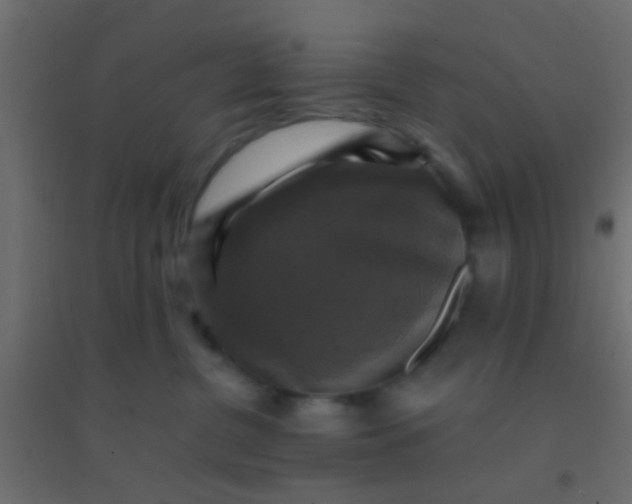 X0000094900380200712131436