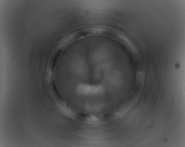 X0000094900381200712131436