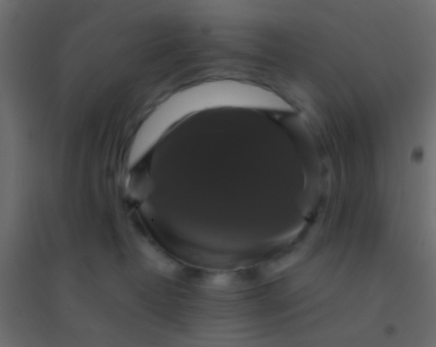 X0000094900382200712131436