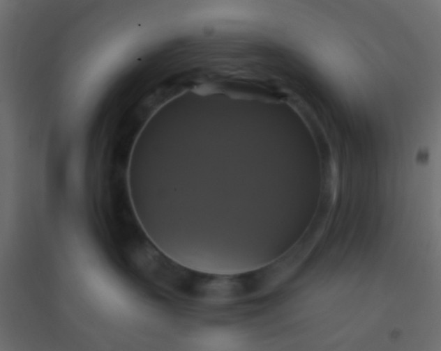 X0000094900383200712131436