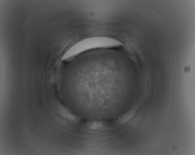X0000094900384200712131436