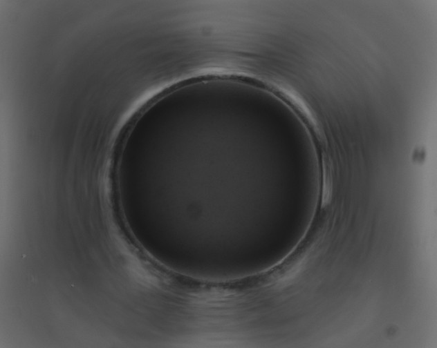 X0000094900387200712131435