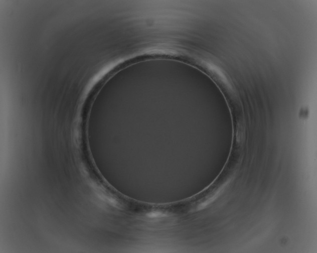 X0000094900388200712131435