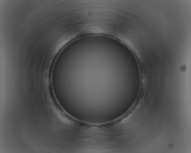 X0000094900390200712131435