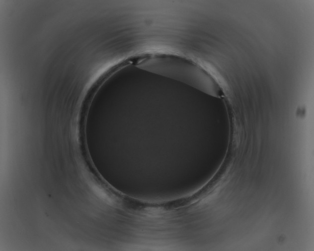 X0000094900391200712131435