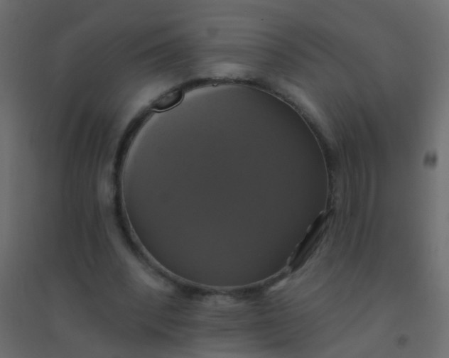 X0000094900392200712131435
