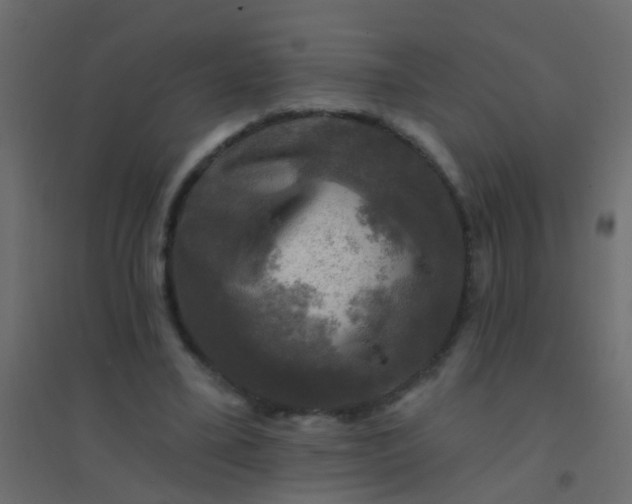 X0000094900395200712131435