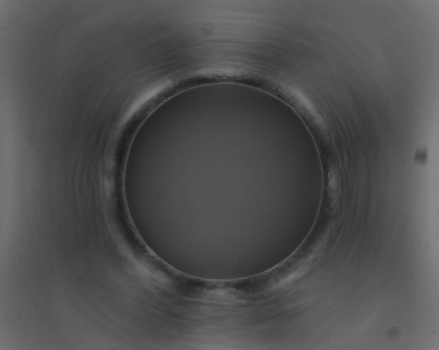 X0000094900396200712131435