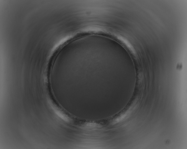 X0000094900399200712131435