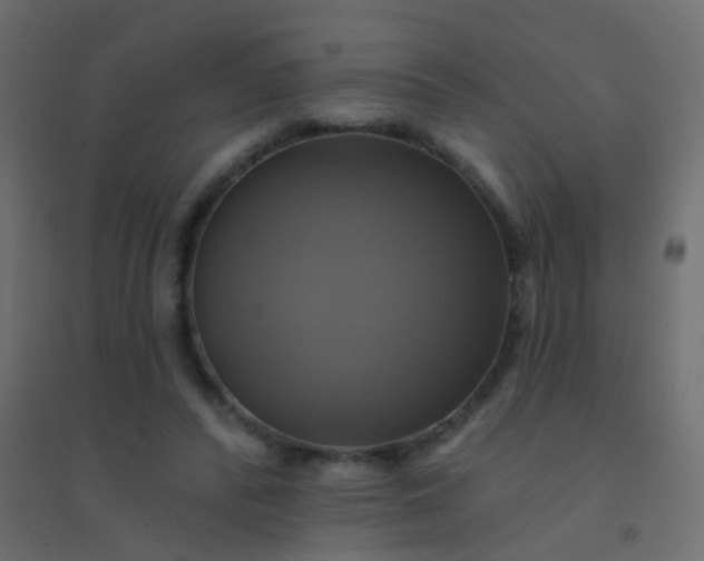 X0000094900400200712131435
