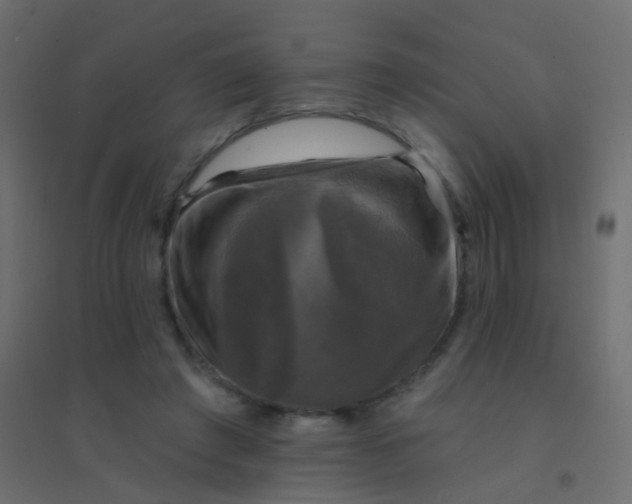 X0000094900401200712131435