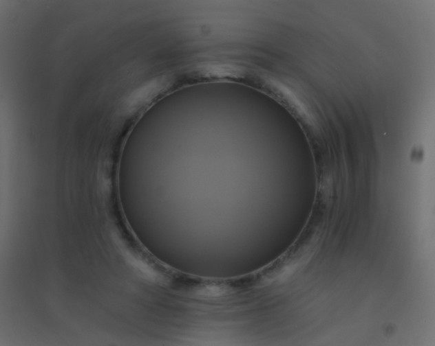X0000094900402200712131435