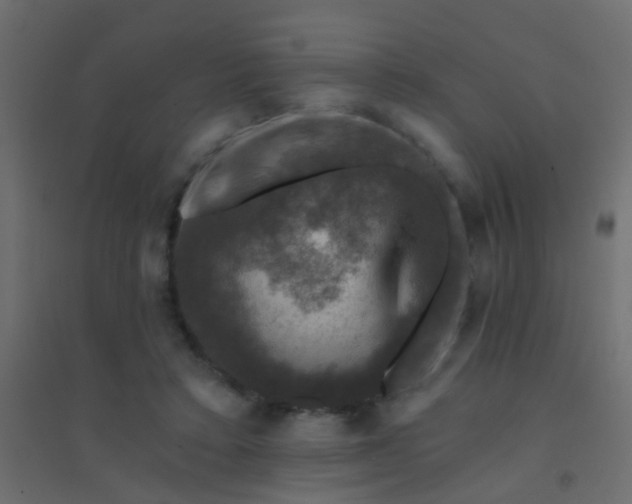 X0000094900403200712131435