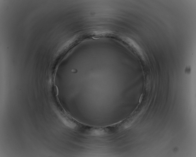 X0000094900405200712131435