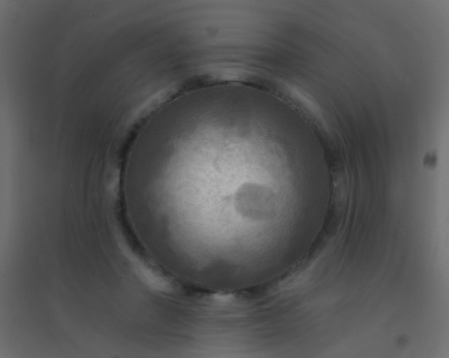 X0000094900406200712131435