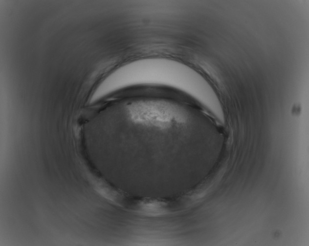 X0000094900407200712131435