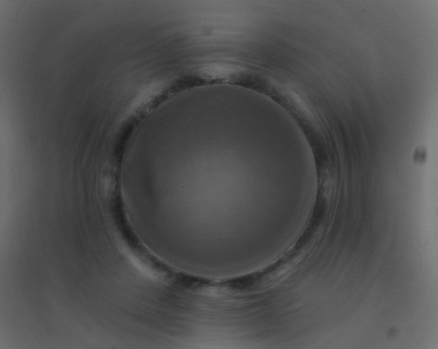 X0000094900408200712131435