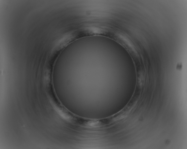 X0000094900410200712131435
