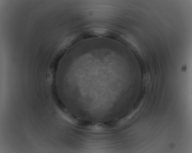 X0000094900412200712131435