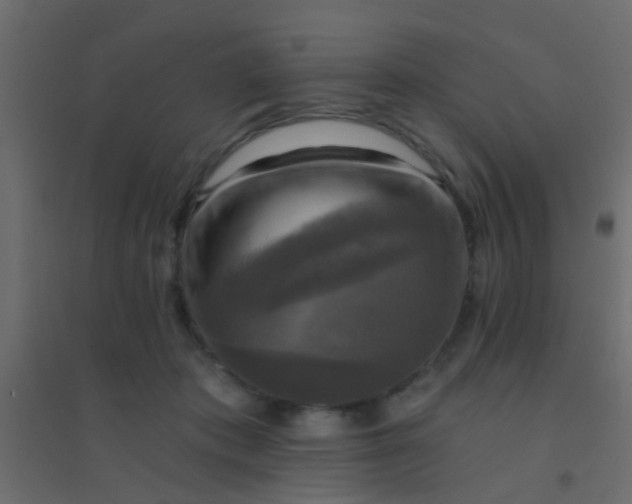 X0000094900413200712131435
