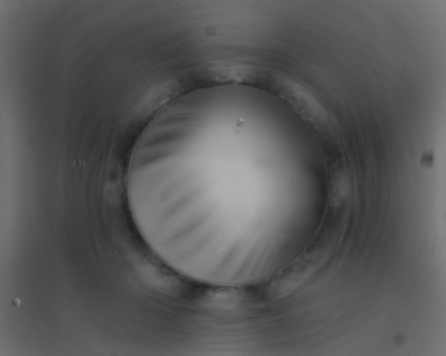 X0000094900414200712131435