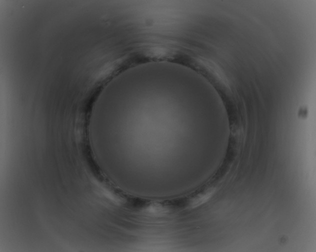 X0000094900416200712131435