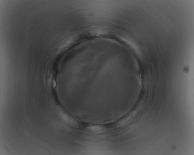 X0000094900417200712131435