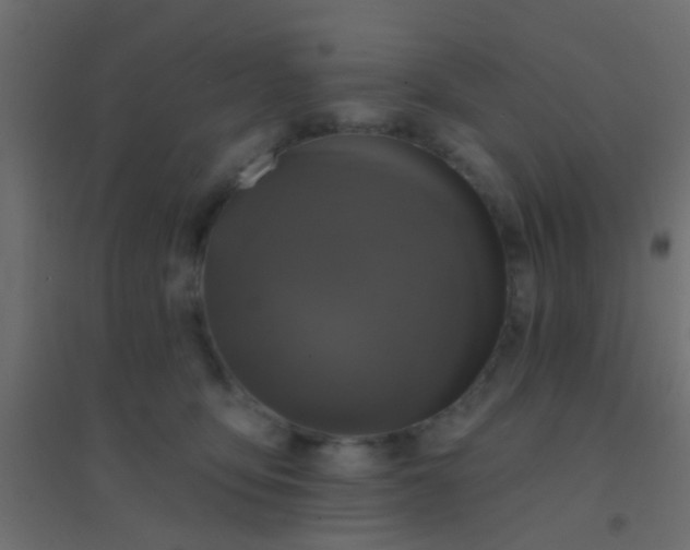 X0000094900419200712131435