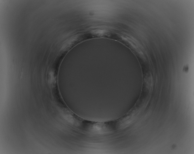 X0000094900420200712131435