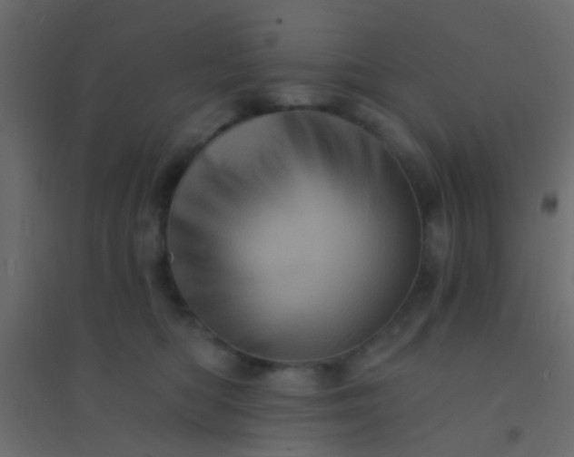 X0000094900422200712131435