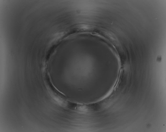 X0000094900423200712131435