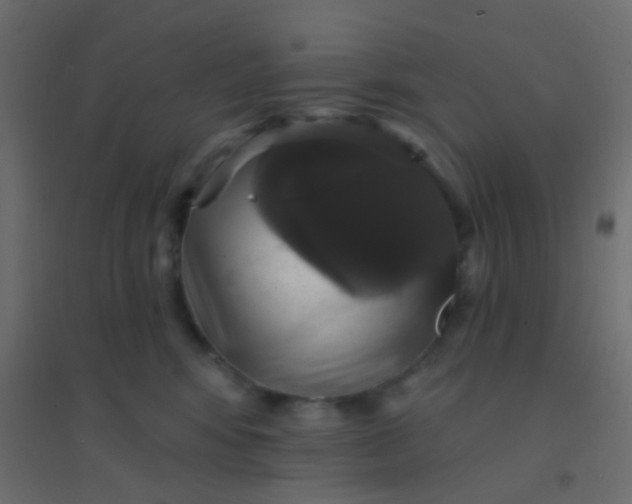 X0000094900424200712131435