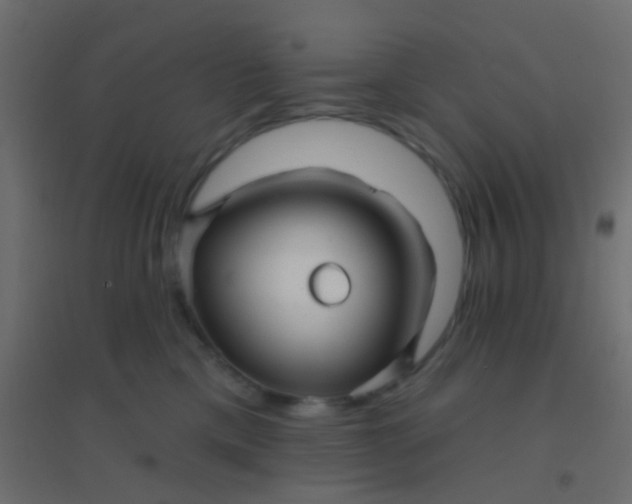 X0000094900425200712131434
