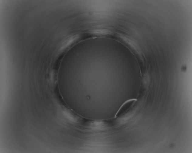 X0000094900428200712131434