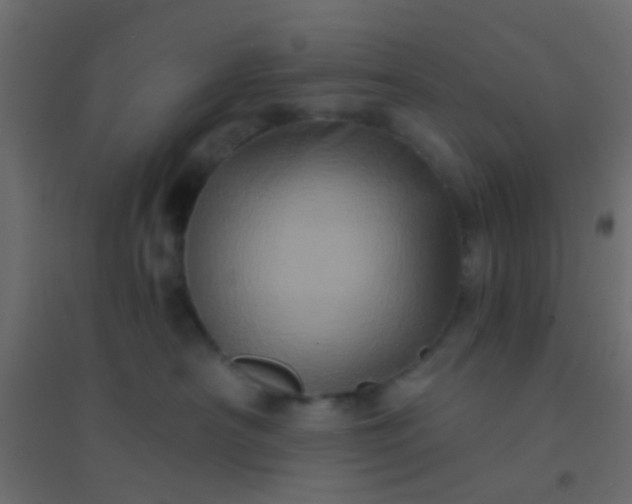 X0000094900430200712131434