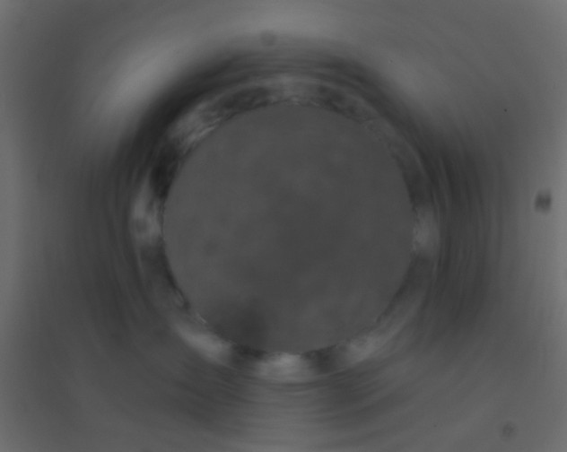 X0000094900431200712131434