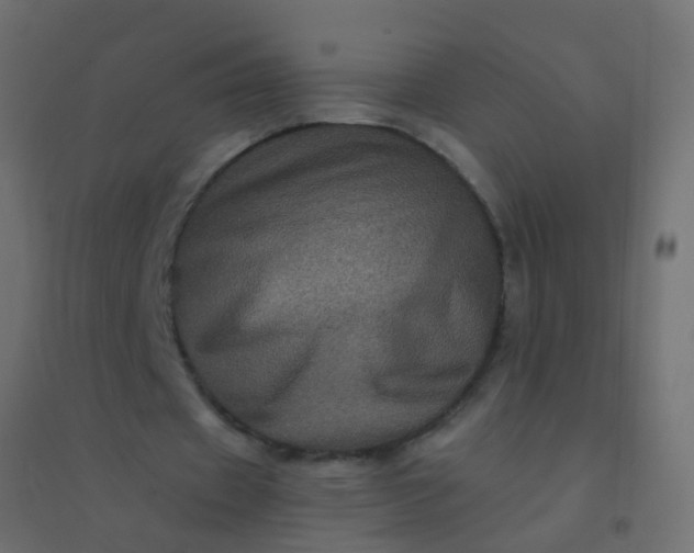 X0000094900433200712131434