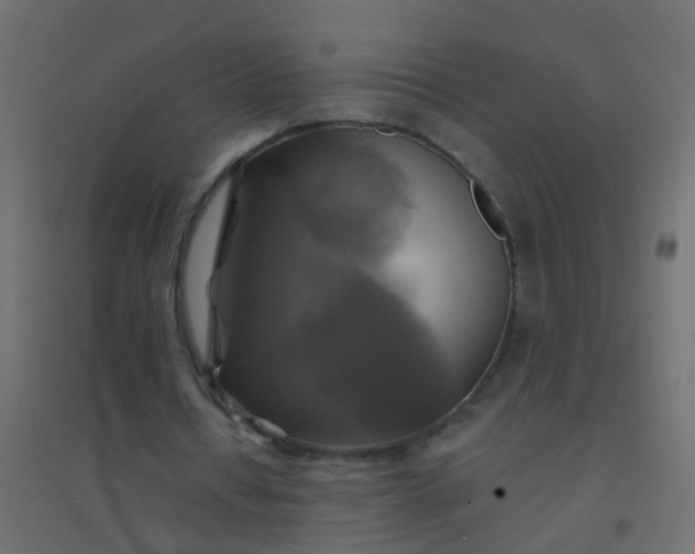 X0000094900434200712131434