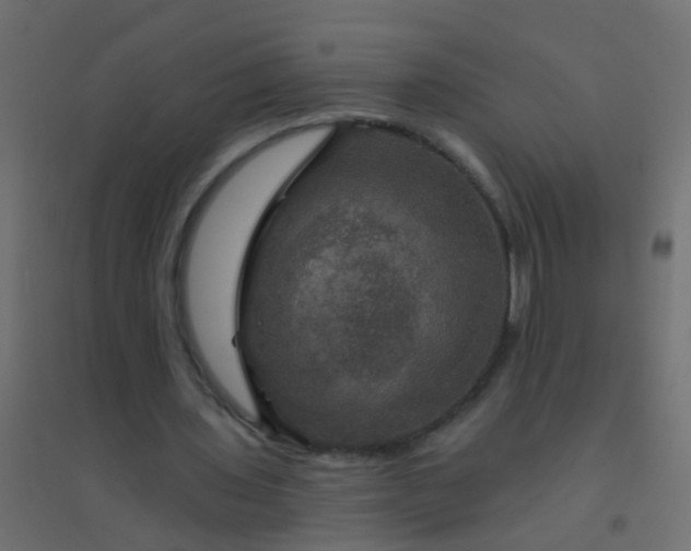 X0000094900435200712131434