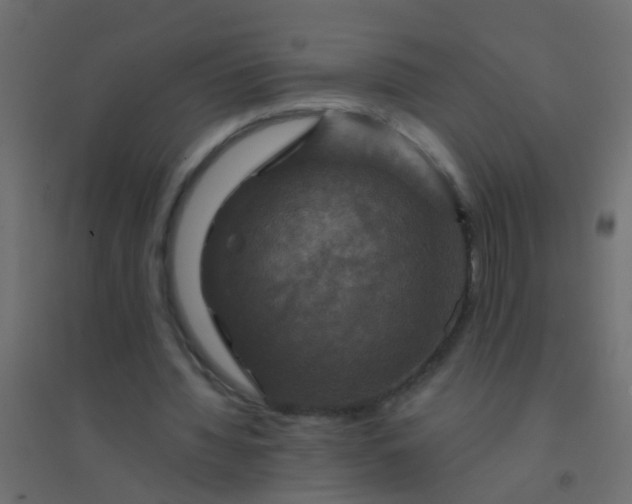 X0000094900436200712131434