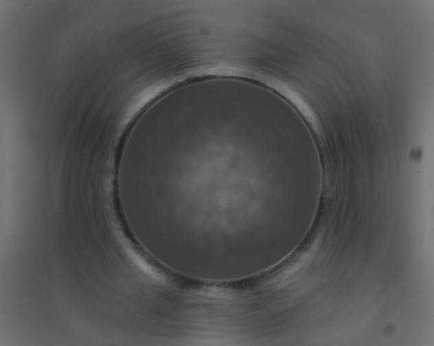 X0000094900437200712131434